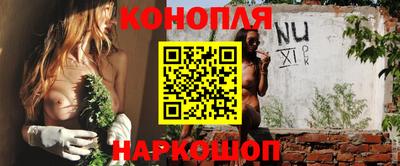 гидра Дубна