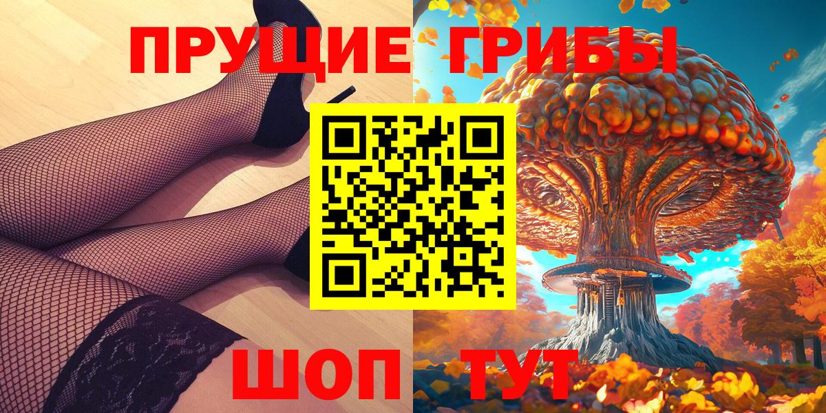 Псилоцибиновые грибы Psilocybe Менделеевск